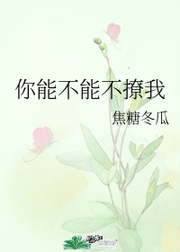 你能不能不撩我免费阅读