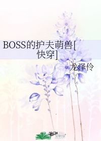 boss的护夫萌兽快穿小说