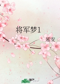 将军梦1