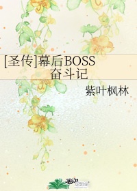 圣传幕后boss奋斗记txt