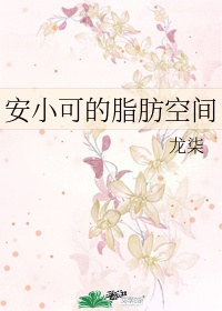 《安小可的脂肪空间》作者:龙柒