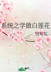 系统之学做白莲花txt