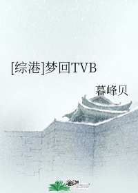 综港梦回tvb涉及港剧