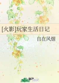 玩家生活日记 小说