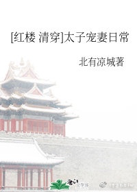 红楼清穿太子宠妻日常免费全文