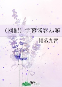 字幕组要求很高么