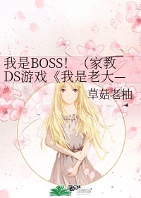 我是boss家教第一部