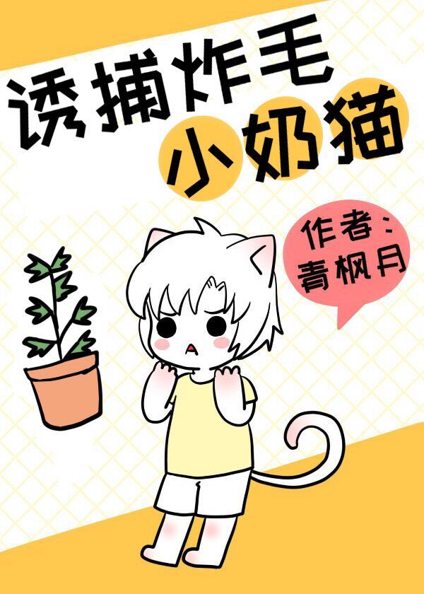 如何诱捕小猫咪