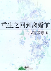 重生之回到离婚前txt